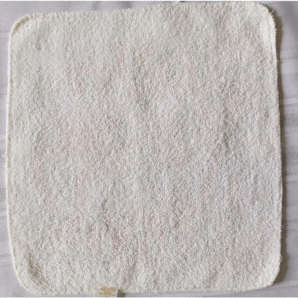 Holly Hobbie style washcloth